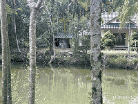 บ้านเดี่ยวหลุดจำนอง ธ.ธนาคารกสิกรไทย ตราด เมืองตราด ตะกาง